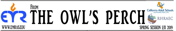 From the OWL'S Perch Header